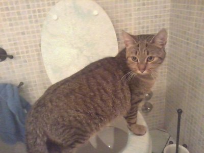 ULISSE / Foto0749rid.jpg Foto0749rid.jpg