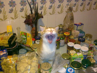 JACK.jpg (129.36 KiB) Osservato 1287 volte JACK.jpg