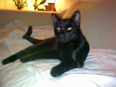 PIPPO.jpg (78.92 KiB) Osservato 1310 volte PIPPO.jpg