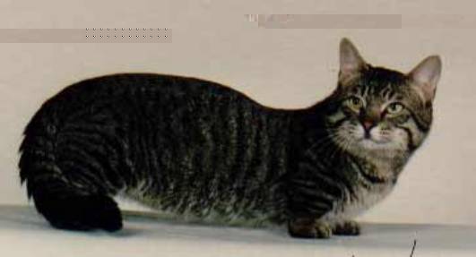 image002.jpg image002.jpg