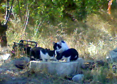 la mamma è quella più bianca / 07092011846_edited.jpg 07092011846_edited.jpg