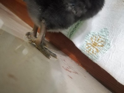 IMG_20180923_202231.jpg (58.95 KiB) Osservato 2712 volte IMG_20180923_202231.jpg