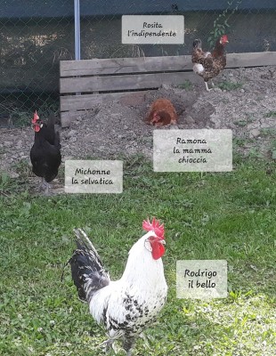 gruppo2.jpg (317.62 KiB) Osservato 844 volte gruppo2.jpg