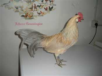 694102976_t.jpg 694102976_t.jpg