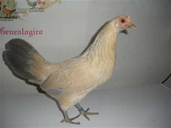 932713215_t.jpg 932713215_t.jpg