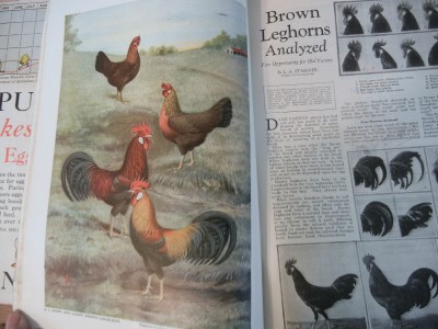 $(KGrHqZ,!q!FG-Dd8Hh1BRzct+yGCg~~60_57.jpg (548.57 KiB) Osservato 628 volte $(KGrHqZ,!q!FG-Dd8Hh1BRzct+yGCg~~60_57.jpg