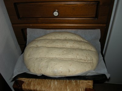 6lievitazione1.JPG (265.61 KiB) Osservato 2704 volte 6lievitazione1.JPG