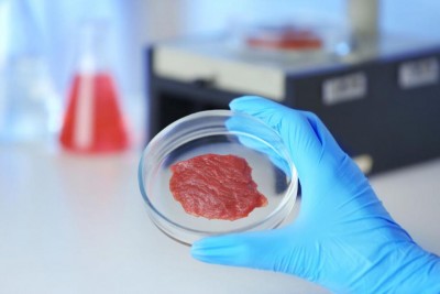 03_Carne-coltivata-in-laboratorio_imagefullwide.jpg (41.14 KiB) Osservato 995 volte 03_Carne-coltivata-in-laboratorio_imagefullwide.jpg