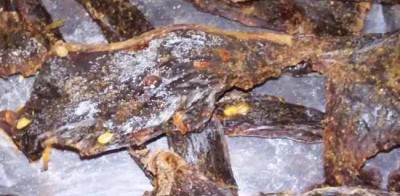 2.jpg (34.29 KiB) Osservato 1736 volte 2.jpg