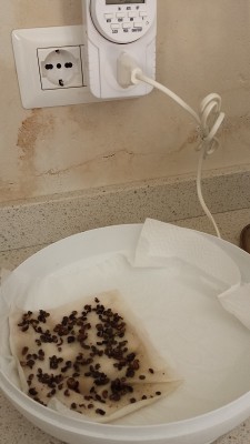 20150407_105253.jpg (123.98 KiB) Osservato 1370 volte 20150407_105253.jpg