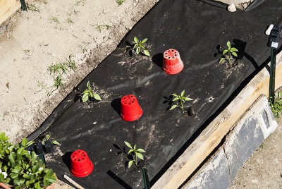 DSC02320.jpg (144.87 KiB) Osservato 568 volte DSC02320.jpg