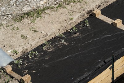 DSC02321.jpg (131.26 KiB) Osservato 568 volte DSC02321.jpg