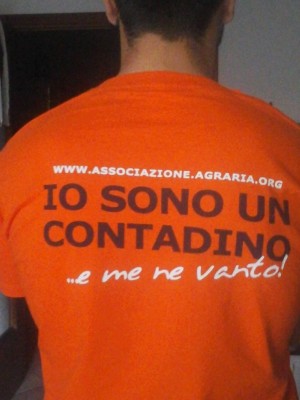 IMG_5632.jpg (99.22 KiB) Osservato 772 volte IMG_5632.jpg