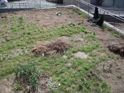 005 (640x480).jpg (331.22 KiB) Osservato 2490 volte 005 (640x480).jpg