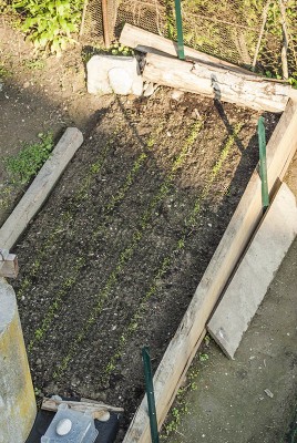 DSC02325.jpg (179.31 KiB) Osservato 610 volte DSC02325.jpg