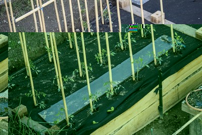 DSC02326.jpg (153.94 KiB) Osservato 610 volte DSC02326.jpg