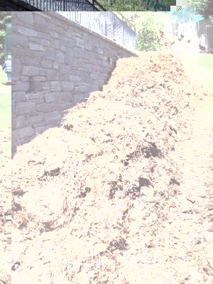 004 (2) (640x480).jpg (346.29 KiB) Osservato 2437 volte 004 (2) (640x480).jpg