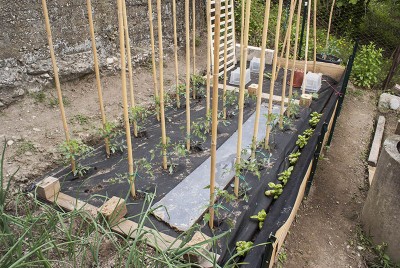 DSC02330.jpg (183.25 KiB) Osservato 555 volte DSC02330.jpg