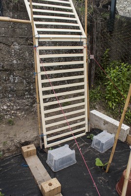 DSC02331.jpg (153.27 KiB) Osservato 555 volte DSC02331.jpg