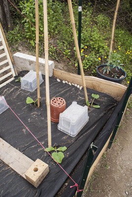 DSC02332.jpg (160.71 KiB) Osservato 555 volte DSC02332.jpg