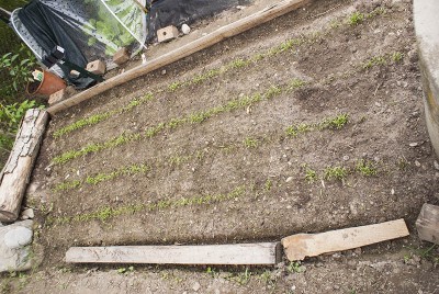 DSC02333.jpg (182.17 KiB) Osservato 555 volte DSC02333.jpg