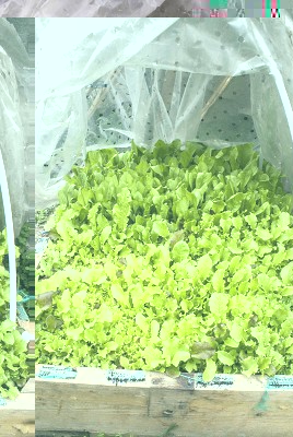 DSC02347.jpg (141.83 KiB) Osservato 553 volte DSC02347.jpg