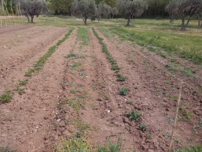 IMG_20150426_131538.jpg (296.62 KiB) Osservato 651 volte IMG_20150426_131538.jpg