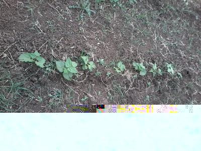 20150427_154643.jpg (347.17 KiB) Osservato 730 volte 20150427_154643.jpg