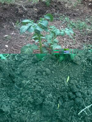 20150427_154814.jpg (315.71 KiB) Osservato 733 volte 20150427_154814.jpg