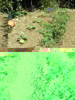 P1050979.JPG (390 KiB) Osservato 1076 volte P1050979.JPG