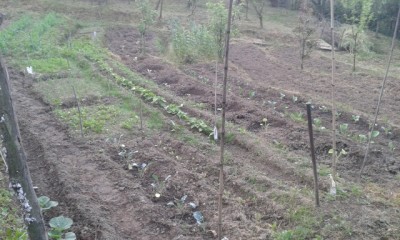 rps20150506_080041.jpg (146.69 KiB) Osservato 586 volte rps20150506_080041.jpg