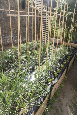 DSC02364.jpg (202.33 KiB) Osservato 581 volte DSC02364.jpg