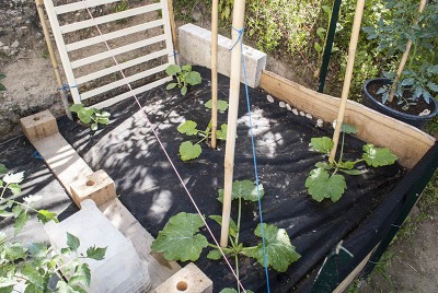 DSC02365.jpg (165.61 KiB) Osservato 581 volte DSC02365.jpg