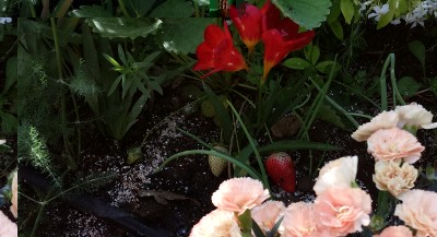 20150517_083138.jpg (161.72 KiB) Osservato 809 volte 20150517_083138.jpg