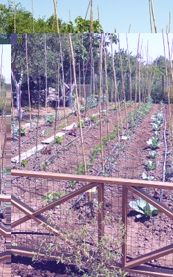 20150517_115852.jpg (333.46 KiB) Osservato 806 volte 20150517_115852.jpg