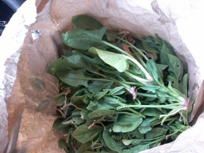 20150522_191706.jpg (185.42 KiB) Osservato 716 volte 20150522_191706.jpg