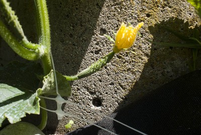 DSC02449.jpg (151.3 KiB) Osservato 496 volte DSC02449.jpg