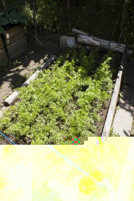 DSC02450.jpg (197.07 KiB) Osservato 496 volte DSC02450.jpg