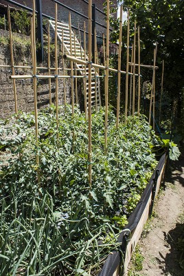 DSC02452.jpg (235.34 KiB) Osservato 496 volte DSC02452.jpg