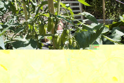 DSC02454.jpg (170.53 KiB) Osservato 496 volte DSC02454.jpg