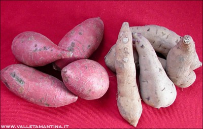 patate-dolci.jpg (182.67 KiB) Osservato 1038 volte patate-dolci.jpg