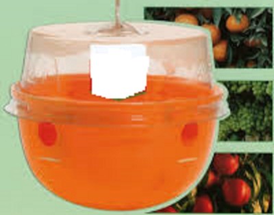 imagestrappola.jpg (72.49 KiB) Osservato 794 volte imagestrappola.jpg