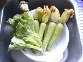 CAM01621 (FILEminimizer).jpg CAM01621 (FILEminimizer).jpg