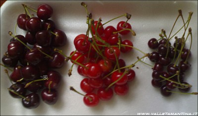 ciliegie, amarene e visciole / ciliegie-amarene-visciole.jpg ciliegie-amarene-visciole.jpg
