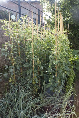 DSC03254.jpg (185.96 KiB) Osservato 437 volte DSC03254.jpg