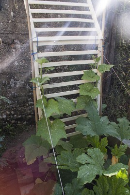 DSC03258.jpg (128.85 KiB) Osservato 437 volte DSC03258.jpg