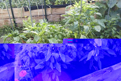 DSC03260.jpg (162.52 KiB) Osservato 437 volte DSC03260.jpg