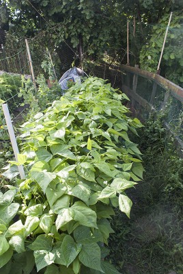 DSC03263.jpg (162.71 KiB) Osservato 709 volte DSC03263.jpg