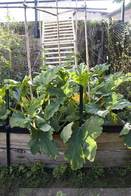 DSC03268.jpg (170.29 KiB) Osservato 707 volte DSC03268.jpg