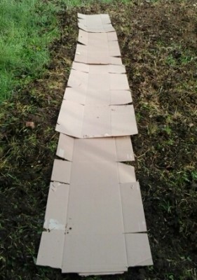 2.jpg (141.17 KiB) Osservato 1412 volte 2.jpg